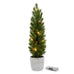 NORDIC 17" LED FAUX MINI POTTED PINE TREE