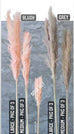 PAMPAS GRASS STEMS - PKG OF 3 - AyaZay Wedding Shoppe